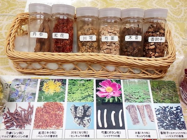 巡心堂漢方薬局の生薬サンプル